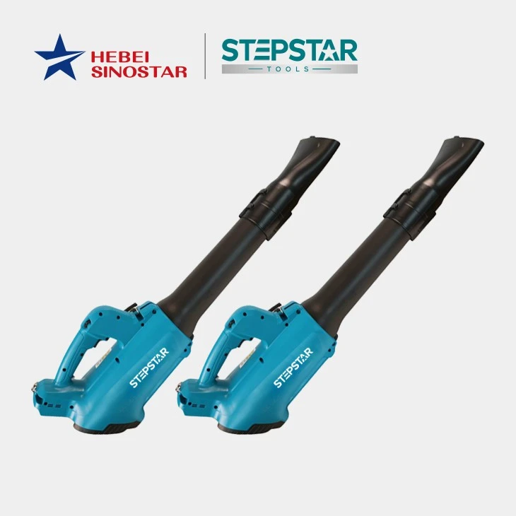 Cordless Leaf Blower